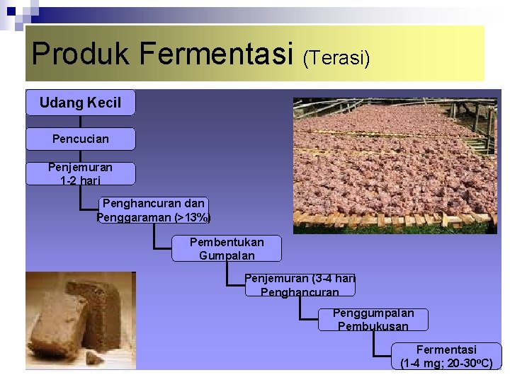 Produk Fermentasi (Terasi) Udang Kecil Pencucian Penjemuran 1 -2 hari Penghancuran dan Penggaraman (>13%)