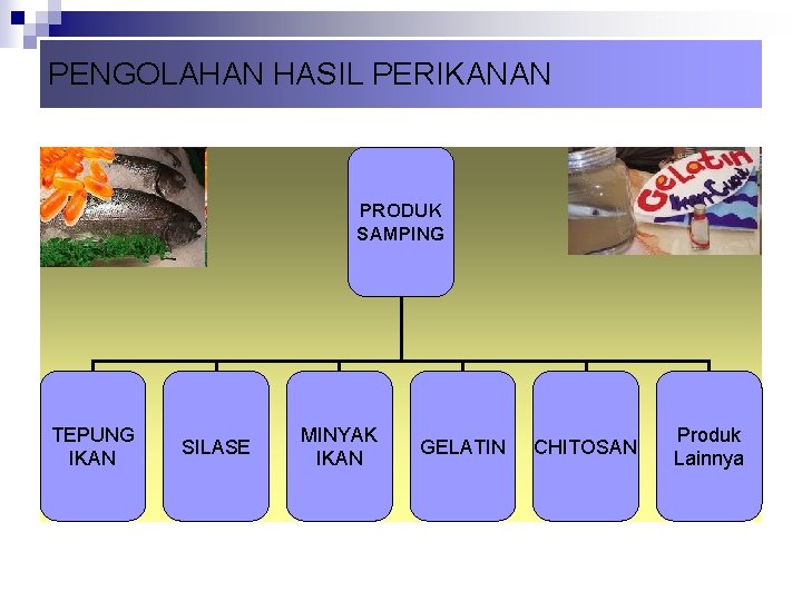 PENGOLAHAN HASIL PERIKANAN PRODUK SAMPING TEPUNG IKAN SILASE MINYAK IKAN GELATIN CHITOSAN Produk Lainnya