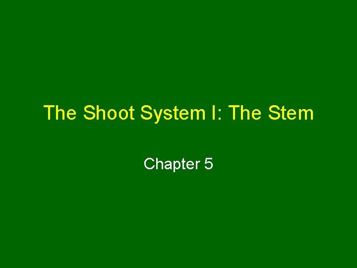 The Shoot System I: The Stem Chapter 5 