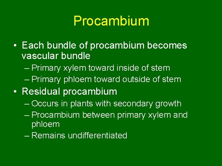 Procambium • Each bundle of procambium becomes vascular bundle – Primary xylem toward inside