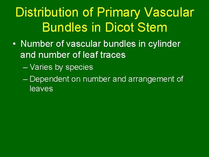 Distribution of Primary Vascular Bundles in Dicot Stem • Number of vascular bundles in