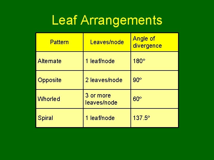 Leaf Arrangements Pattern Leaves/node Angle of divergence Alternate 1 leaf/node 180º Opposite 2 leaves/node