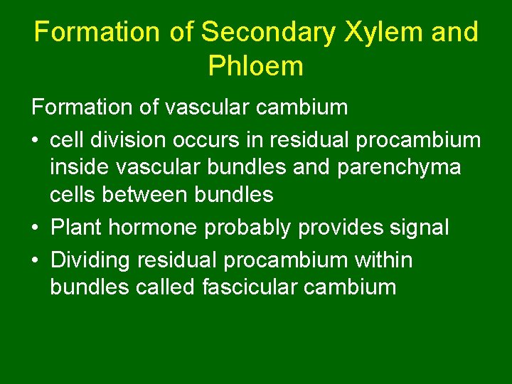 Formation of Secondary Xylem and Phloem Formation of vascular cambium • cell division occurs