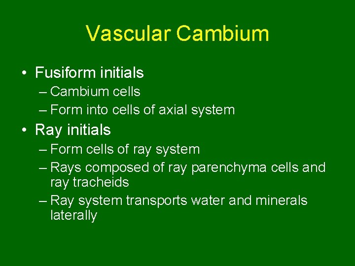 Vascular Cambium • Fusiform initials – Cambium cells – Form into cells of axial