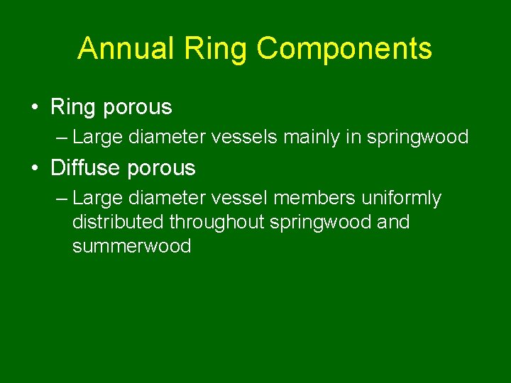 Annual Ring Components • Ring porous – Large diameter vessels mainly in springwood •