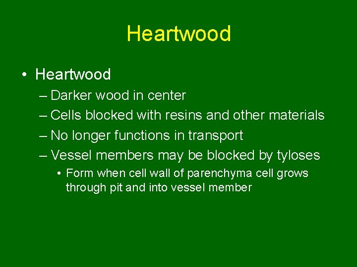 Heartwood • Heartwood – Darker wood in center – Cells blocked with resins and