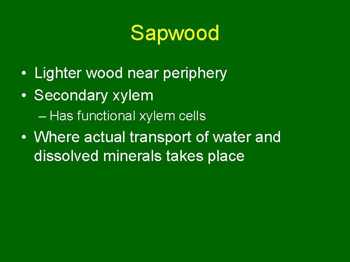 Sapwood • Lighter wood near periphery • Secondary xylem – Has functional xylem cells