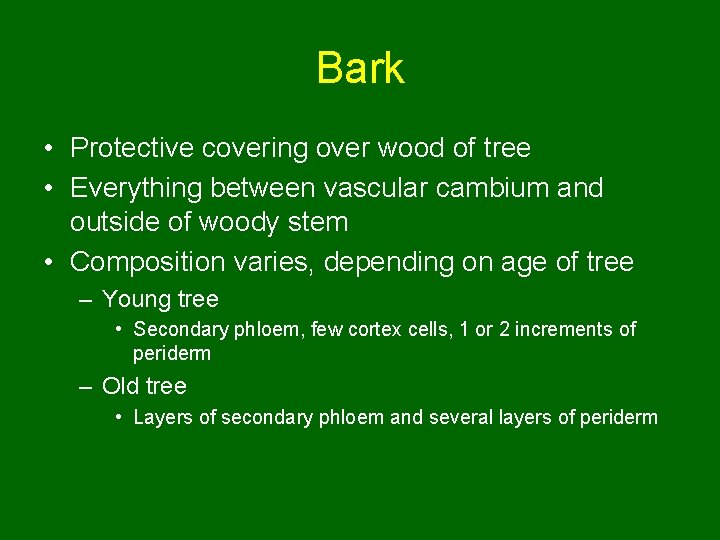 Bark • Protective covering over wood of tree • Everything between vascular cambium and