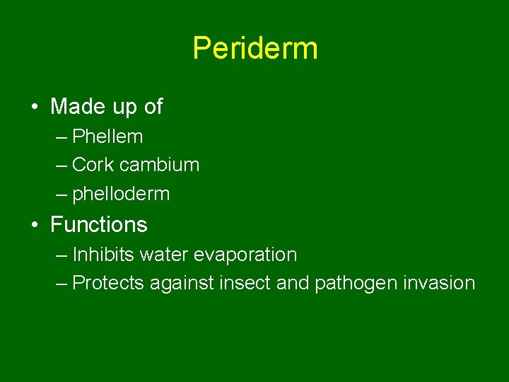 Periderm • Made up of – Phellem – Cork cambium – phelloderm • Functions