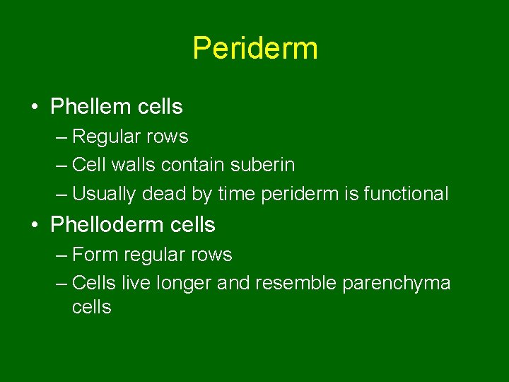 Periderm • Phellem cells – Regular rows – Cell walls contain suberin – Usually