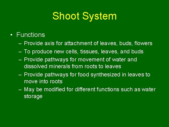 Shoot System • Functions – Provide axis for attachment of leaves, buds, flowers –