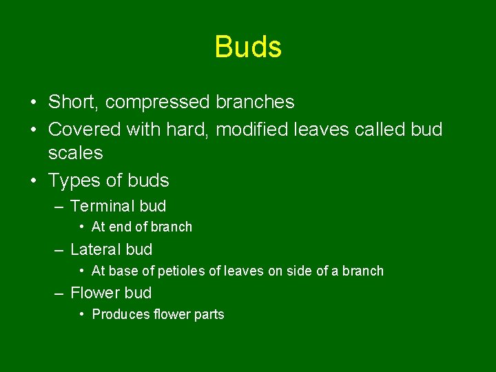 Buds • Short, compressed branches • Covered with hard, modified leaves called bud scales