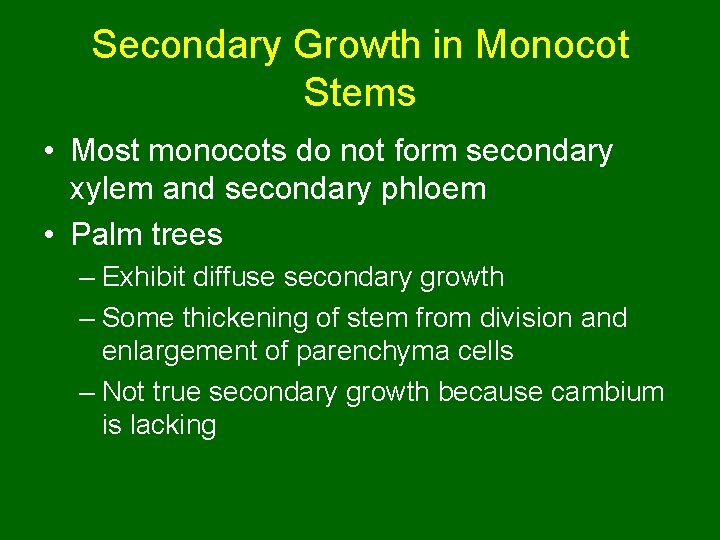 Secondary Growth in Monocot Stems • Most monocots do not form secondary xylem and