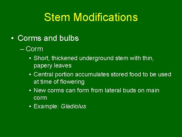 Stem Modifications • Corms and bulbs – Corm • Short, thickened underground stem with