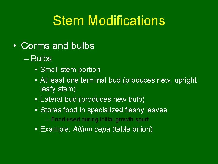 Stem Modifications • Corms and bulbs – Bulbs • Small stem portion • At
