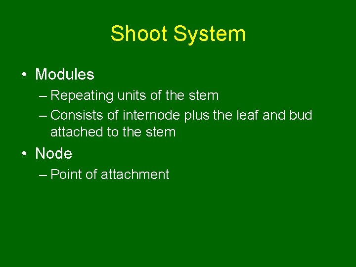 Shoot System • Modules – Repeating units of the stem – Consists of internode