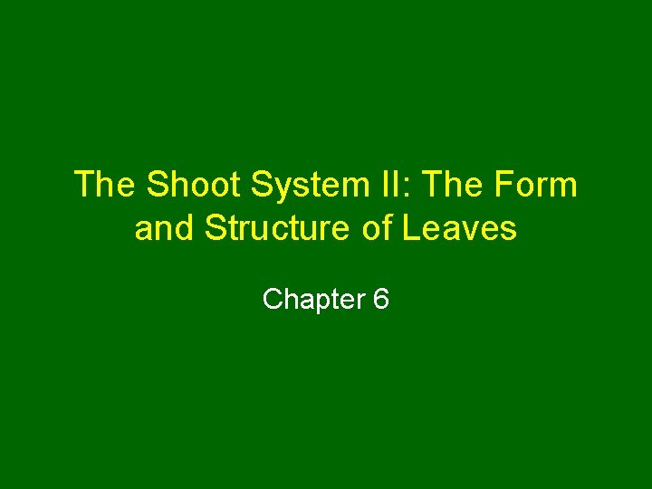 The Shoot System II: The Form and Structure of Leaves Chapter 6 
