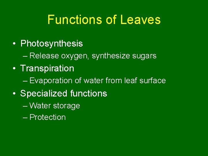 Functions of Leaves • Photosynthesis – Release oxygen, synthesize sugars • Transpiration – Evaporation