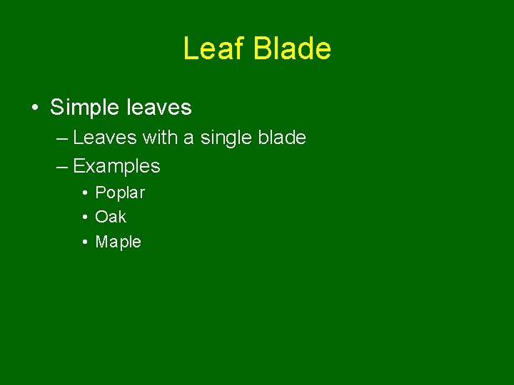 Leaf Blade • Simple leaves – Leaves with a single blade – Examples •