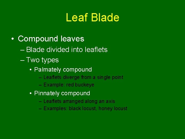 Leaf Blade • Compound leaves – Blade divided into leaflets – Two types •