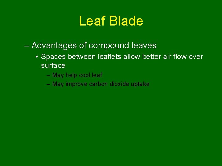 Leaf Blade – Advantages of compound leaves • Spaces between leaflets allow better air