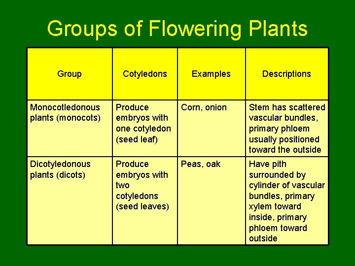 Groups of Flowering Plants Group Cotyledons Examples Descriptions Monocotledonous plants (monocots) Produce embryos with