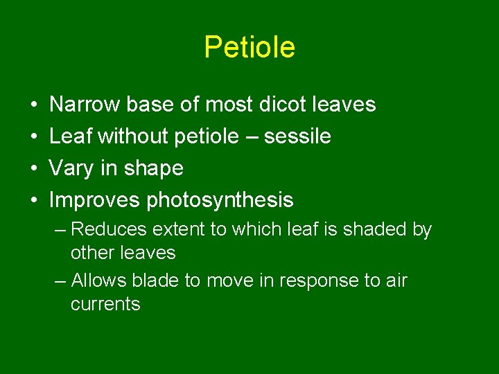 Petiole • • Narrow base of most dicot leaves Leaf without petiole – sessile