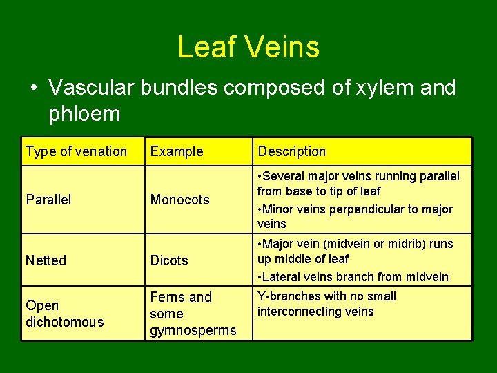 Leaf Veins • Vascular bundles composed of xylem and phloem Type of venation Example