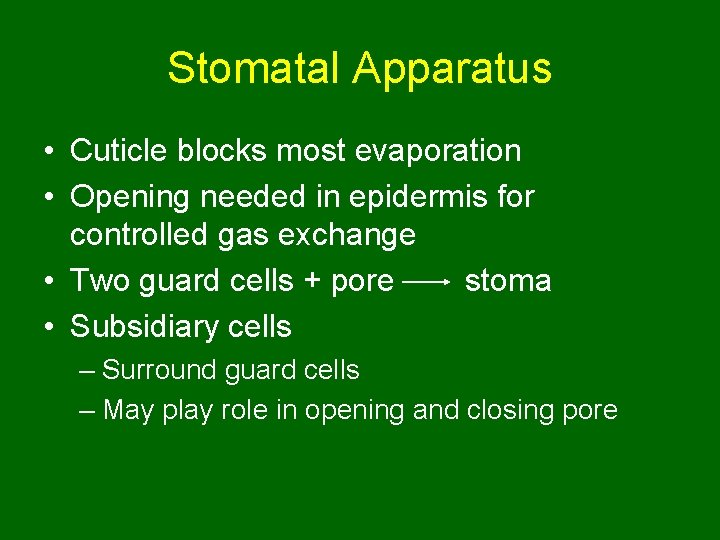 Stomatal Apparatus • Cuticle blocks most evaporation • Opening needed in epidermis for controlled