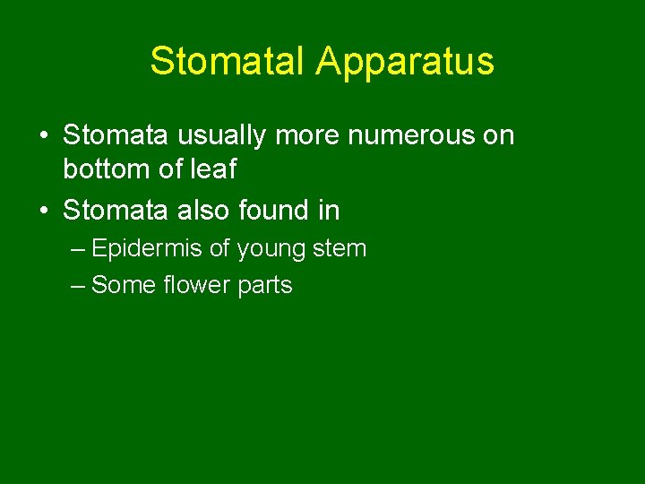 Stomatal Apparatus • Stomata usually more numerous on bottom of leaf • Stomata also