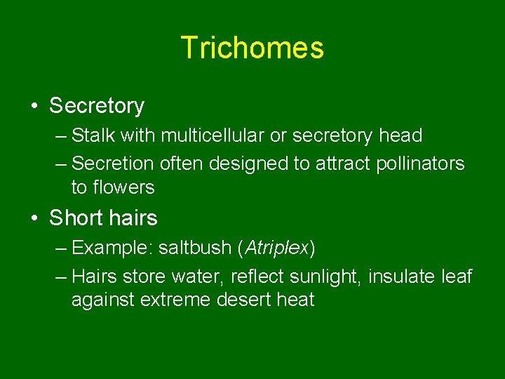 Trichomes • Secretory – Stalk with multicellular or secretory head – Secretion often designed