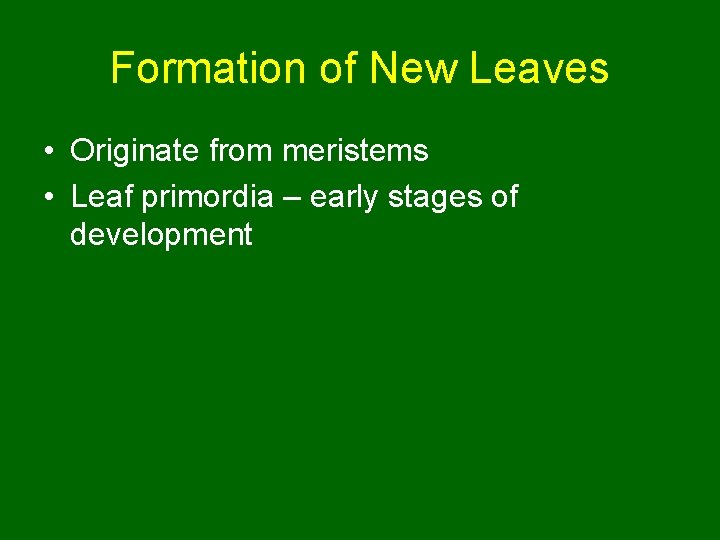 Formation of New Leaves • Originate from meristems • Leaf primordia – early stages