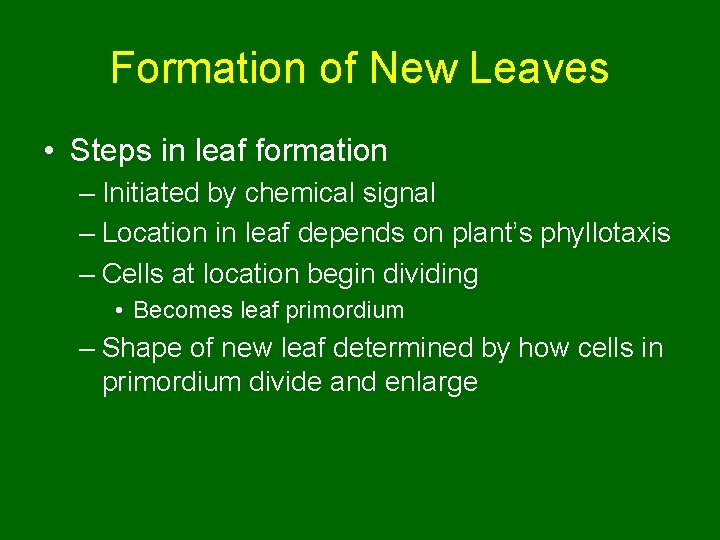 Formation of New Leaves • Steps in leaf formation – Initiated by chemical signal