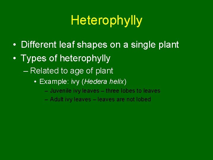 Heterophylly • Different leaf shapes on a single plant • Types of heterophylly –