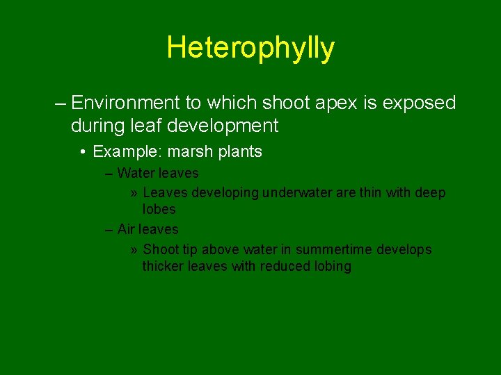 Heterophylly – Environment to which shoot apex is exposed during leaf development • Example: