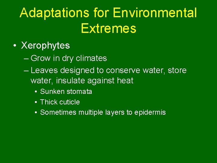 Adaptations for Environmental Extremes • Xerophytes – Grow in dry climates – Leaves designed