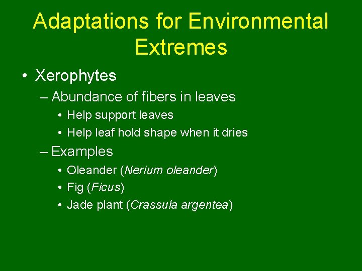 Adaptations for Environmental Extremes • Xerophytes – Abundance of fibers in leaves • Help
