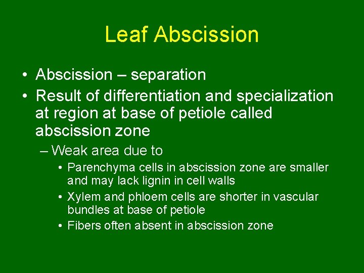 Leaf Abscission • Abscission – separation • Result of differentiation and specialization at region