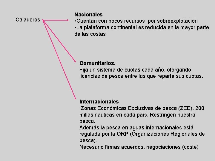 Caladeros Nacionales • Cuentan con pocos recursos por sobreexplotación • La plataforma continental es