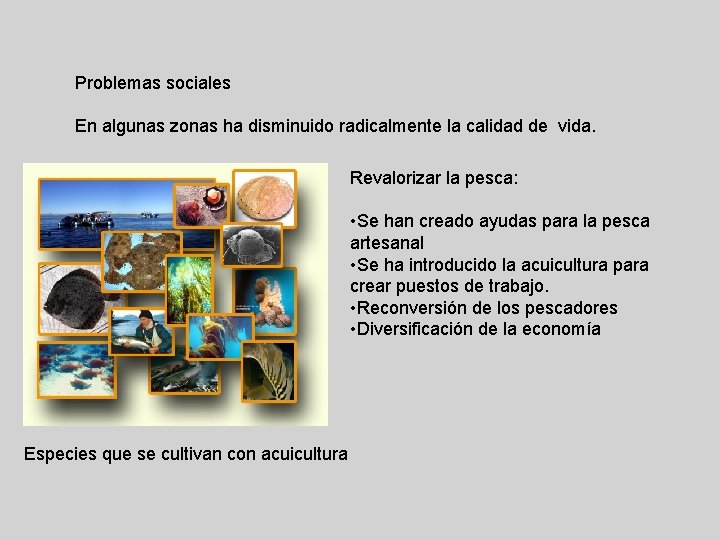 Problemas sociales En algunas zonas ha disminuido radicalmente la calidad de vida. Revalorizar la