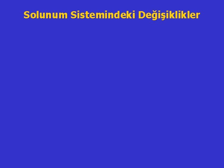 Solunum Sistemindeki Değişiklikler 