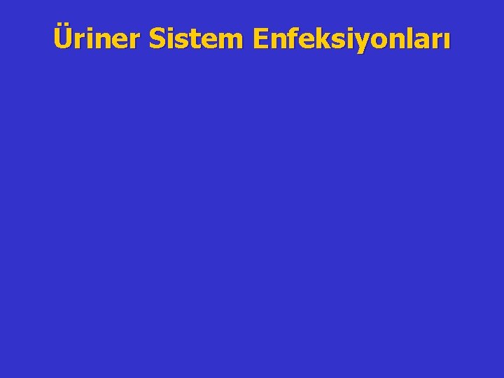 Üriner Sistem Enfeksiyonları 