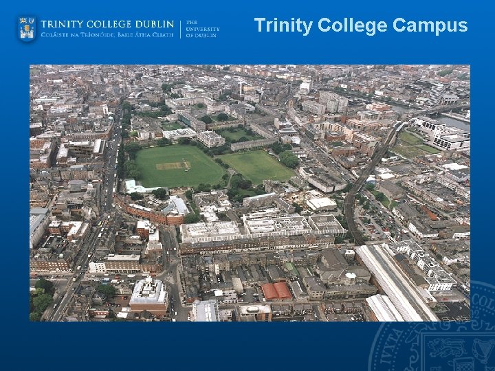 Trinity College Campus 