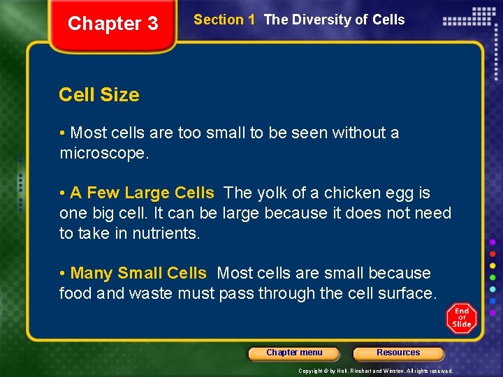 Chapter 3 Section 1 The Diversity of Cells Cell Size • Most cells are