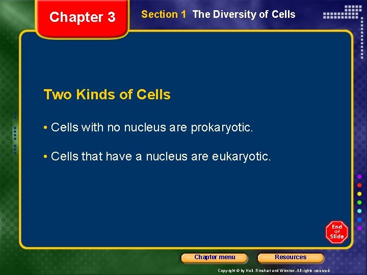 Chapter 3 Section 1 The Diversity of Cells Two Kinds of Cells • Cells