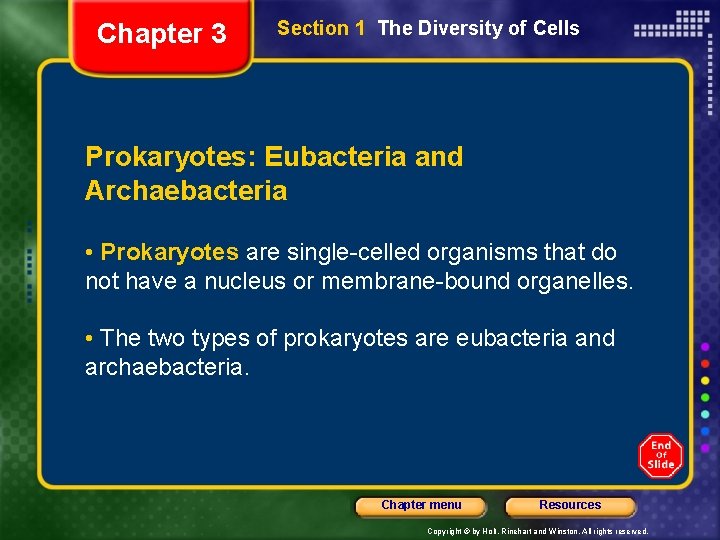 Chapter 3 Section 1 The Diversity of Cells Prokaryotes: Eubacteria and Archaebacteria • Prokaryotes