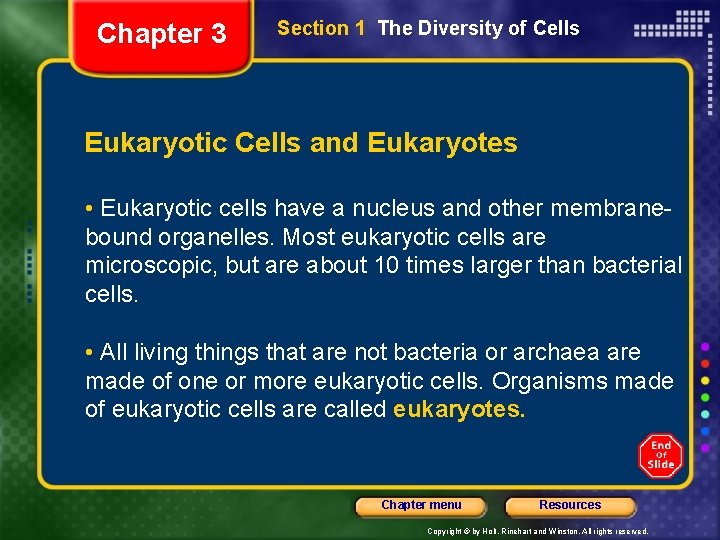 Chapter 3 Section 1 The Diversity of Cells Eukaryotic Cells and Eukaryotes • Eukaryotic