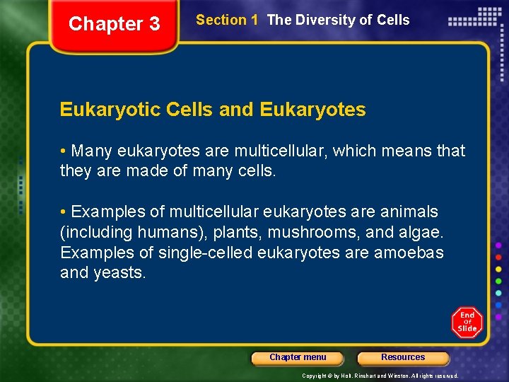 Chapter 3 Section 1 The Diversity of Cells Eukaryotic Cells and Eukaryotes • Many