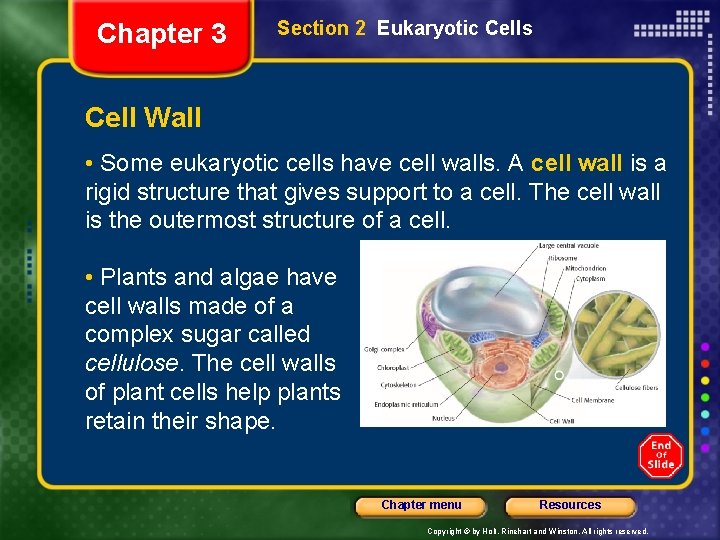 Chapter 3 Section 2 Eukaryotic Cells Cell Wall • Some eukaryotic cells have cell