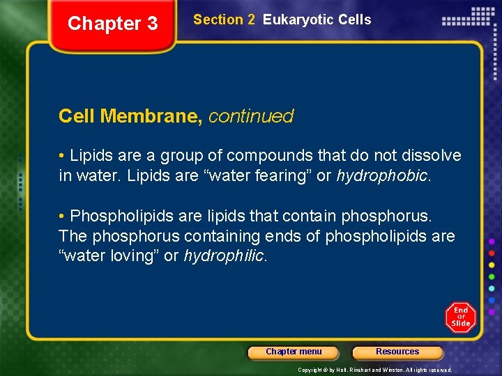 Chapter 3 Section 2 Eukaryotic Cells Cell Membrane, continued • Lipids are a group